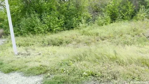 Stranger sucked dick, then bent over — lucky run indeed — frame