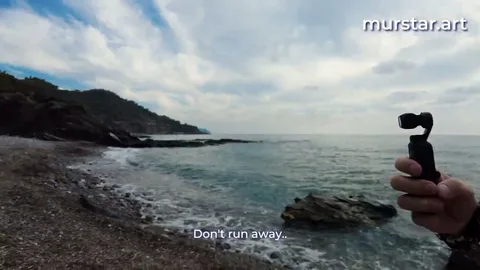 Two strangers seduced into beach sex within five minutes — frame
