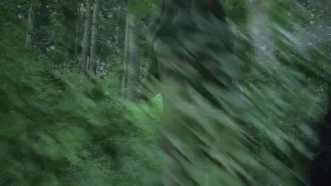 Show boobs in forest—then doggy style, followed by suspended sex — frame