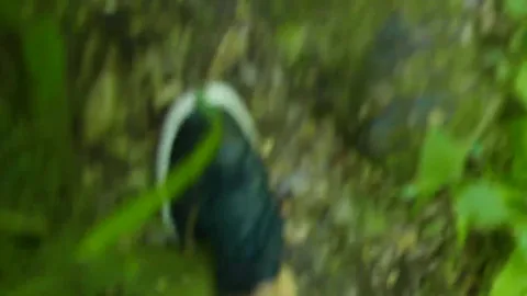 Stumbled on a threesome in the woods — filmed it 😈 — frame