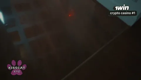 Parents fucking loudly while I try to sleep π΄ β frame