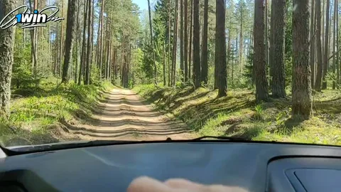 Went for a walk in the woods, now heading home with someone else's cum — frame