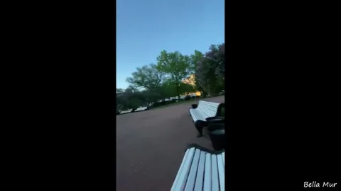 They go down on each other in a park bench — frame