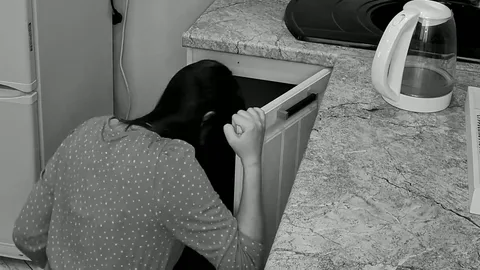 Called plumbers for fun, got fucked under sink π β frame